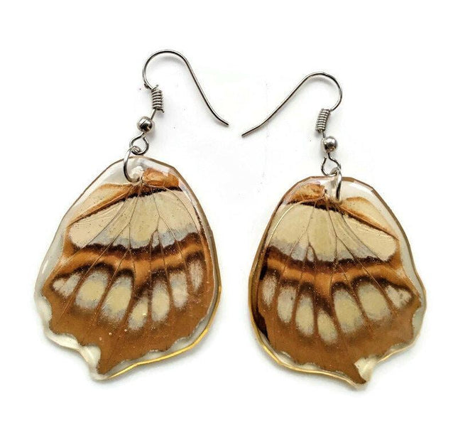 Malachite butterfly wing earrings: brown beige resin jewelry