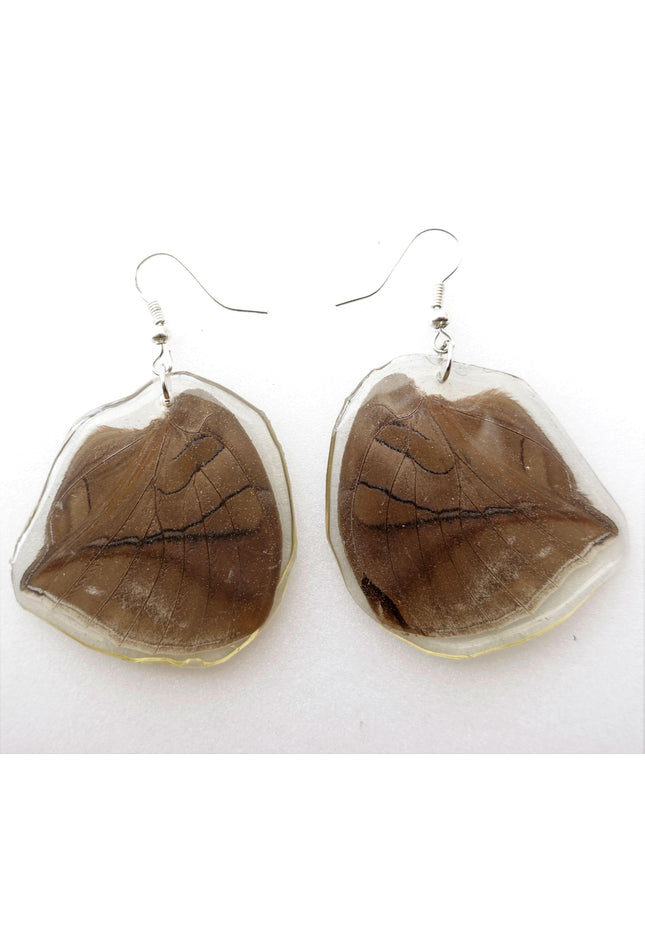 Real butterfly earrings, historis odius wings resinwork