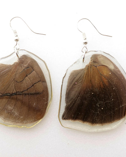 Real butterfly earrings, historis odius wings resinwork