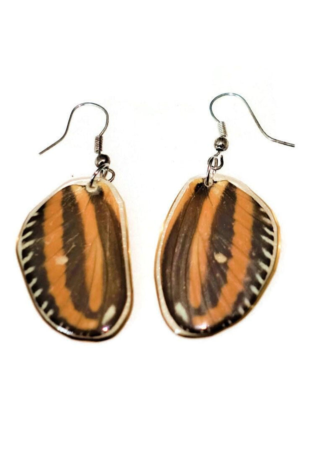 Tiger heliconian wing earrings: ethically sourced resin coated jewelry