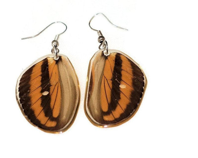 Tiger heliconian wing earrings: ethically sourced resin coated jewelry