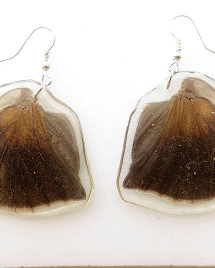 Real butterfly earrings, historis odius wings resinwork