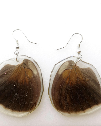 Real butterfly earrings, historis odius wings resinwork