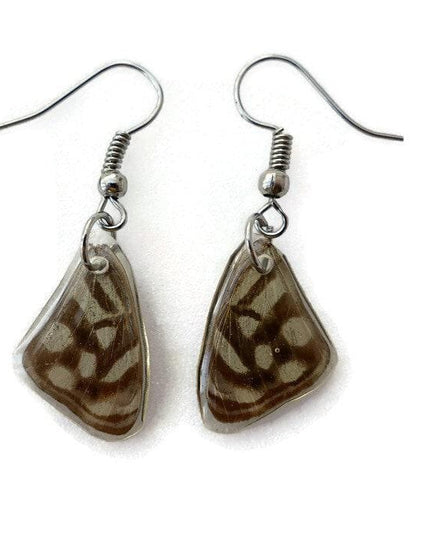 Real little pretty beige two sided wings earrings, butterfly wings resinwork