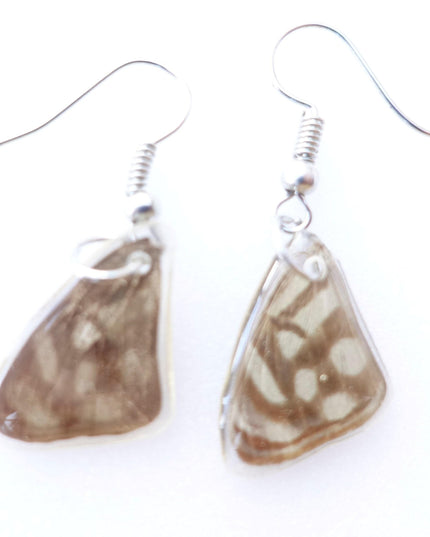 Real little pretty beige two sided wings earrings, butterfly wings resinwork