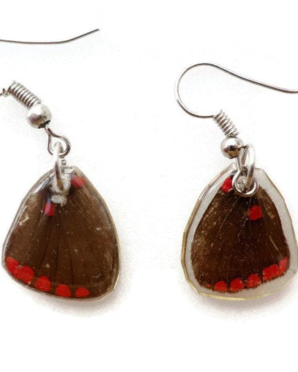 Real little pretty brown and red wings earrings, butterfly wings resinwork