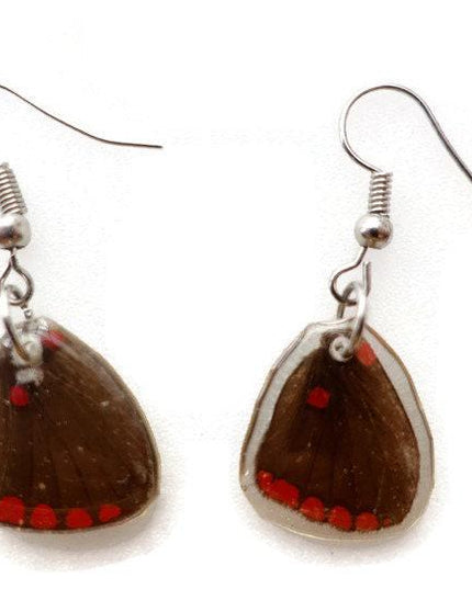 Real little pretty brown and red wings earrings, butterfly wings resinwork