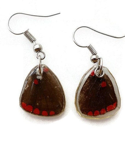 Real little pretty brown and red wings earrings, butterfly wings resinwork