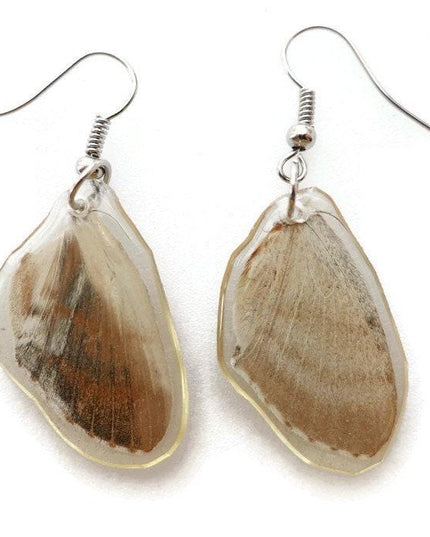 Little pretty beige two sided wings earrings, butterfly wings resinwork