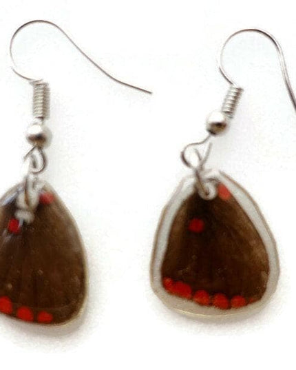 Real little pretty brown and red wings earrings, butterfly wings resinwork