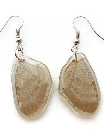Little pretty beige two sided wings earrings, butterfly wings resinwork