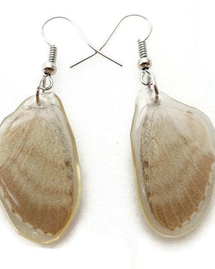 Little pretty beige two sided wings earrings, butterfly wings resinwork