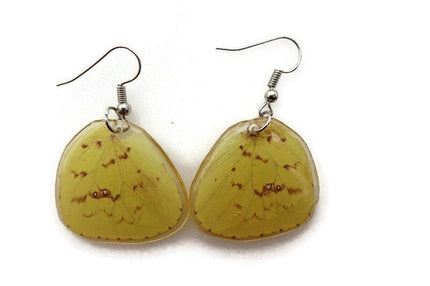 Pale and bright yellow patterned real wings earrings shaped, butterfly wings resin work
