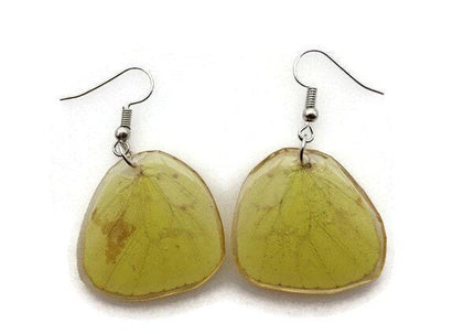 Pale and bright yellow patterned real wings earrings shaped, butterfly wings resin work