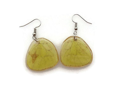 Pale and bright yellow patterned real wings earrings shaped, butterfly wings resin work