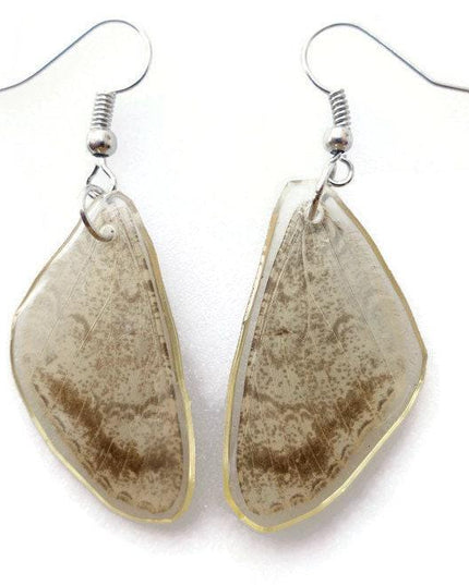Real butterfly wing earrings: beige resinwork, hypoallergenic hooks