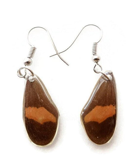 Little brown and copper two sided wings earrings, butterfly wings resinwork