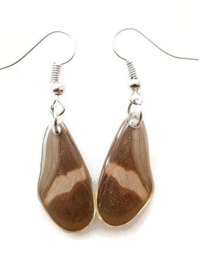 Little brown and copper two sided wings earrings, butterfly wings resinwork