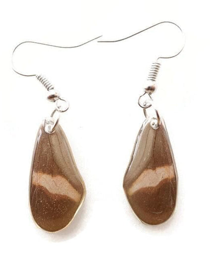 Little brown and copper two sided wings earrings, butterfly wings resinwork