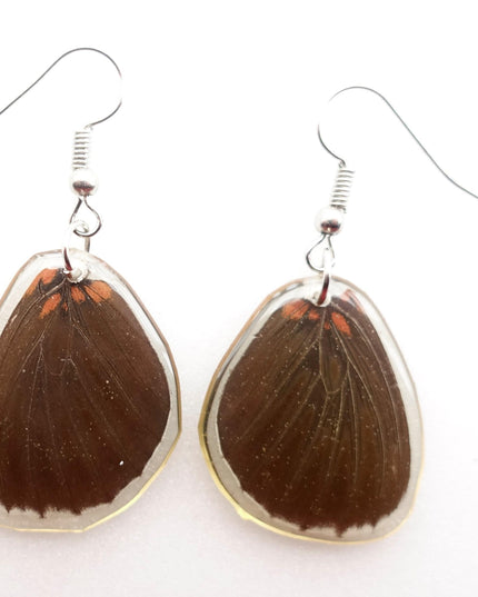 Dark round real wings earrings, butterfly wings resin work