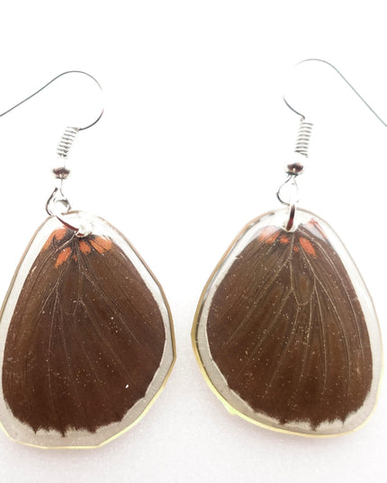 Dark round real wings earrings, butterfly wings resin work