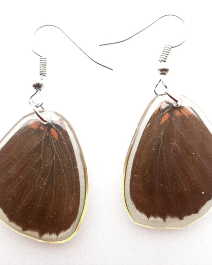 Dark round real wings earrings, butterfly wings resin work