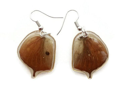 Brown tailed real wings earrings, butterfly wings resin work