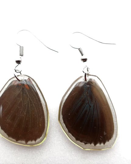 Dark round real wings earrings, butterfly wings resin work