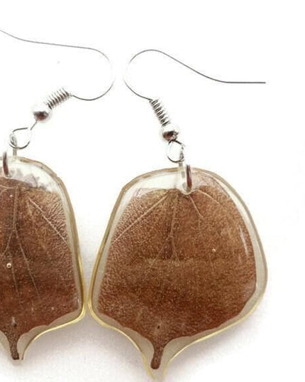 Brown tailed real wings earrings, butterfly wings resin work