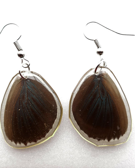 Dark round real wings earrings, butterfly wings resin work