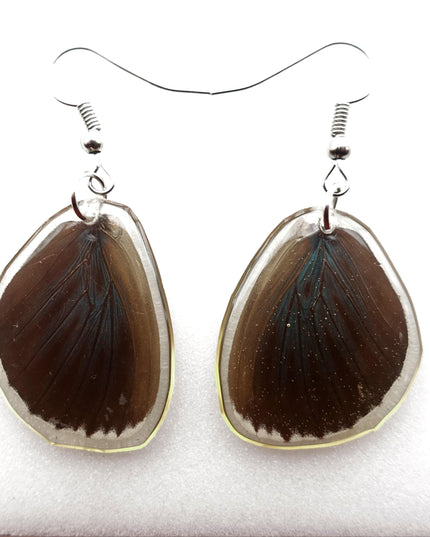 Dark round real wings earrings, butterfly wings resin work