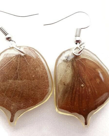 Brown tailed real wings earrings, butterfly wings resin work