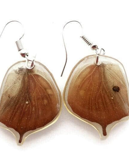 Brown tailed real wings earrings, butterfly wings resin work