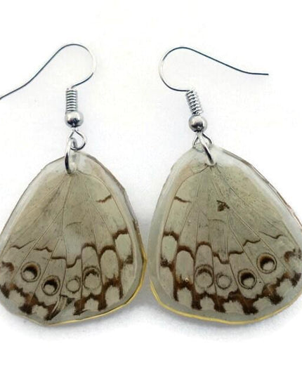 Real butterfly wing earrings: epinome cracker resin jewelry
