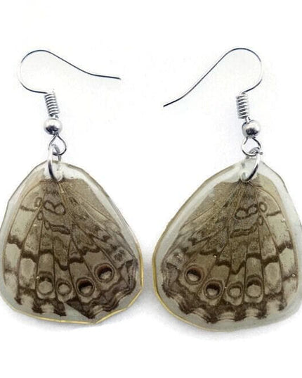 Real butterfly wing earrings: epinome cracker resin jewelry