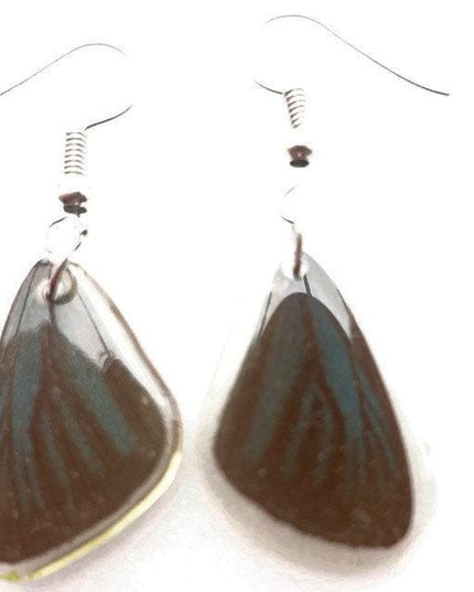 Tiny dark real wings earrings, butterfly wings resin work