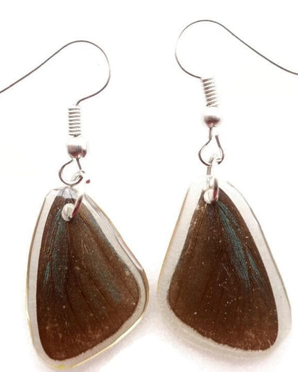 Tiny dark real wings earrings, butterfly wings resin work