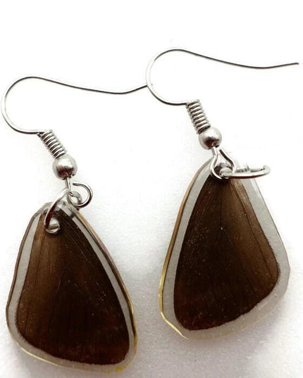Tiny dark real wings earrings, butterfly wings resin work