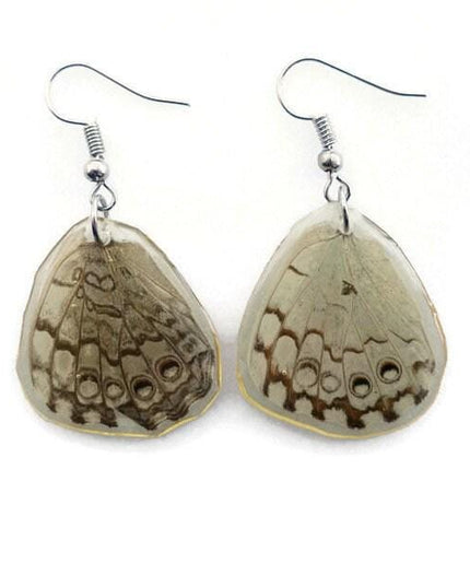 Real butterfly wing earrings: epinome cracker resin jewelry