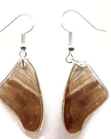Brown  stripey real wings earrings, butterfly wings resin work