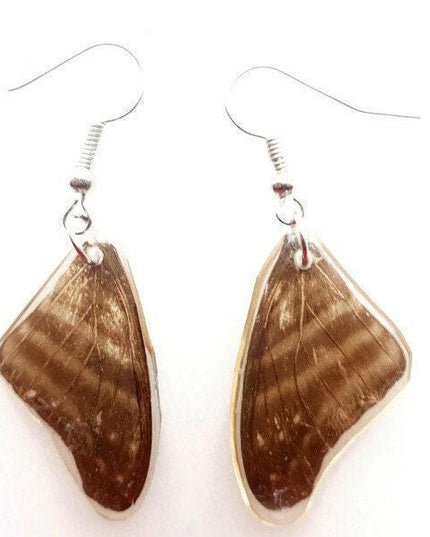 Brown  stripey real wings earrings, butterfly wings resin work