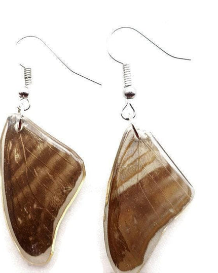 Brown  stripey real wings earrings, butterfly wings resin work