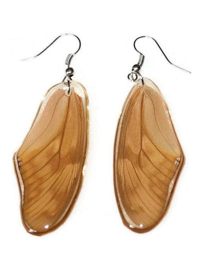 Two sided wings earrings