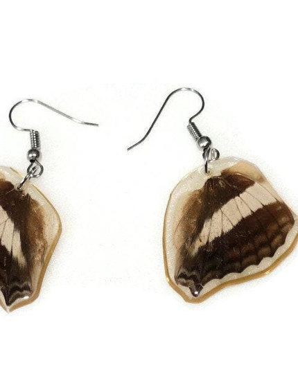 Two sides real butterfly wings earrings
