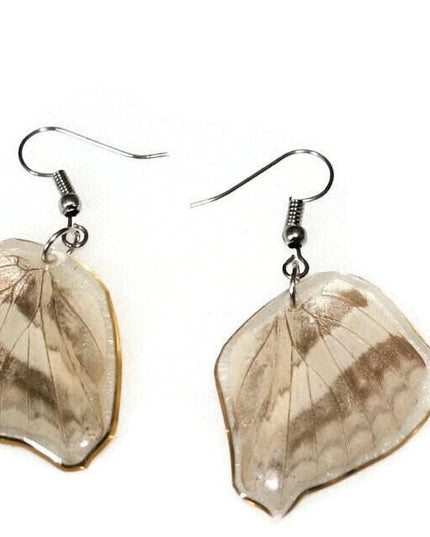 Two sides real butterfly wings earrings