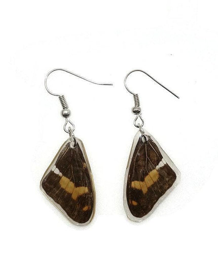 Small brown wings earrings, reisn coated butterfly earrings, two different sides