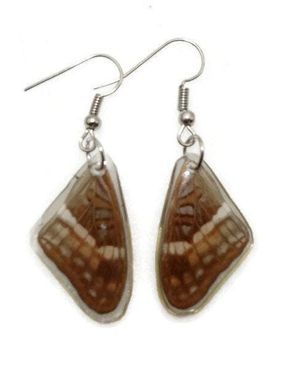 Small brown wings earrings, reisn coated butterfly earrings, two different sides