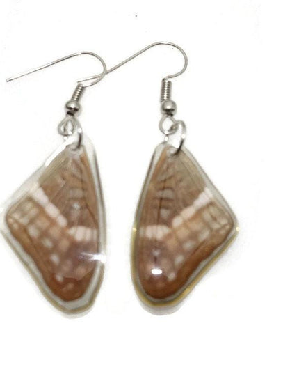 Small brown wings earrings, reisn coated butterfly earrings, two different sides