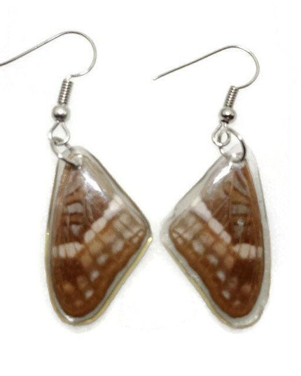 Small brown wings earrings, reisn coated butterfly earrings, two different sides