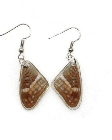 Small brown wings earrings, reisn coated butterfly earrings, two different sides